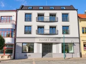 Prodej bytu 1+kk, Bystřice nad Pernštejnem, Masarykovo náměstí, 37 m2