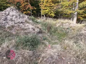 Prodej rodinného domu, Litvínov, 115 m2