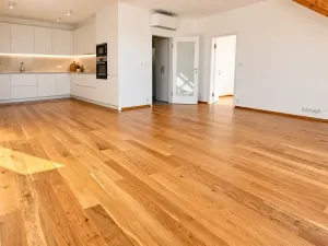 Prodej bytu 2+kk, Praha - Karlín, Jirsíkova, 73 m2
