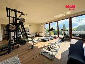 Prodej rodinného domu, Cejle, 296 m2