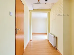 Prodej rodinného domu, Budyně nad Ohří, Masarykovo náměstí, 90 m2