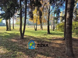 Pronájem bytu 2+1, Slavkov u Brna, sídliště Nádražní, 63 m2