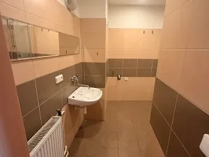 Pronájem bytu 3+1, Prostějov, Mlýnská, 100 m2