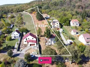 Prodej pozemku pro bydlení, Olšany, 6031 m2
