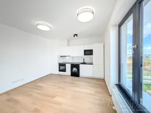 Pronájem bytu 1+kk, Plzeň - Jižní Předměstí, Železná, 27 m2