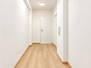Prodej bytu 1+kk, Brno, 49 m2