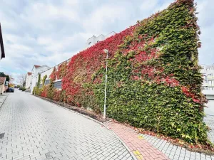 Prodej bytu 2+kk, České Budějovice - České Budějovice 2, Lipová, 53 m2