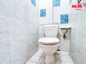 Pronájem bytu 2+1, Dýšina, K Chlumu, 50 m2
