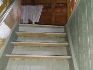 Prodej rodinného domu, Sebnitz, Německo, 100 m2