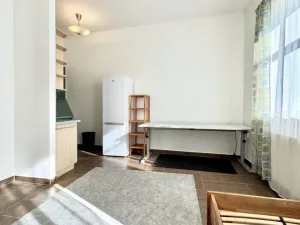 Pronájem bytu 1+kk, Plzeň - Severní Předměstí, Luční, 27 m2