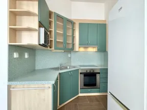 Pronájem bytu 1+kk, Plzeň - Severní Předměstí, Luční, 27 m2