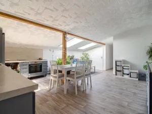 Prodej vícegeneračního domu, Ostrava - Třebovice, Krameriova, 298 m2