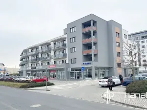 Pronájem bytu 1+kk, Olomouc, Čajkovského, 34 m2
