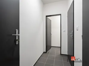 Pronájem bytu 1+kk, Heřmanova Huť - Vlkýš, U Pondu, 35 m2