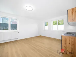 Prodej bytu 1+kk, Břasy, 42 m2