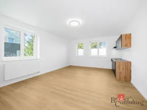 Prodej bytu 1+kk, Břasy, 42 m2