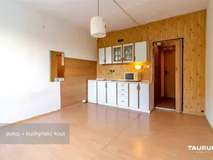 Prodej bytu 1+kk, Plzeň - Doudlevce, Luďka Pika, 20 m2
