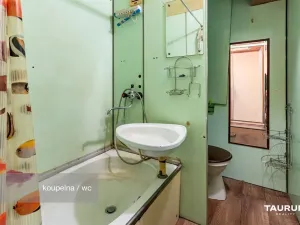 Prodej bytu 1+kk, Plzeň - Doudlevce, Luďka Pika, 20 m2