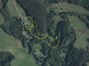 Dražba louky, Mařenice, 19744 m2