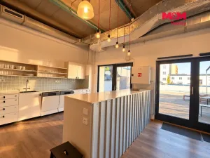Pronájem kanceláře, Praha - Libeň, Drahobejlova, 706 m2