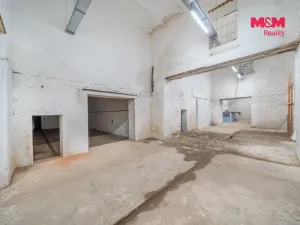 Pronájem výrobních prostor, Štěnovice, Plzeňská, 1366 m2