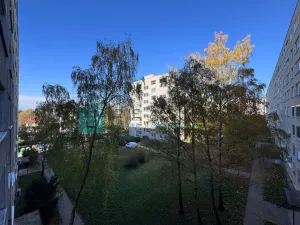 Pronájem bytu 3+kk, Hodonín, Jižní, 80 m2