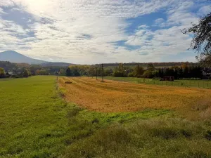 Prodej pozemku pro bydlení, Chotiměř, 9663 m2