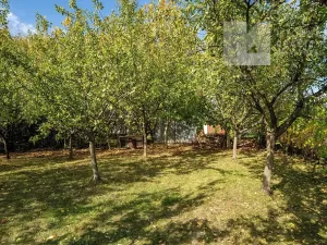 Prodej rodinného domu, Koryčany, 296 m2
