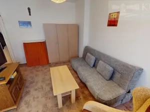 Pronájem bytu 1+kk, Příbram, S. K. Neumanna, 21 m2