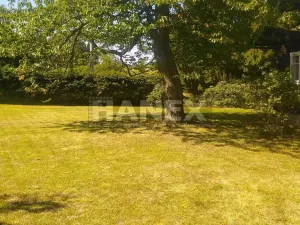 Prodej chalupy, Josefův Důl, 140 m2
