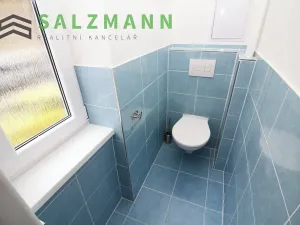 Pronájem bytu 2+1, Plzeň, Zámečnická, 60 m2