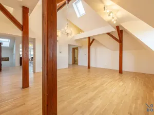 Pronájem bytu 5+kk, Praha - Vinohrady, U Havlíčkových sadů, 295 m2