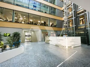 Pronájem kanceláře, Praha - Nové Město, Olivova, 322 m2