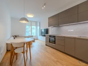 Pronájem bytu 2+kk, Ostrava, Dlouhá, 58 m2