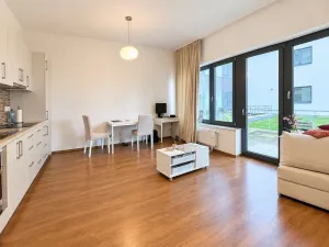 Pronájem bytu 1+kk, Brno, Opuštěná, 35 m2