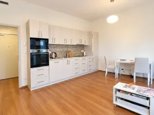 Pronájem bytu 1+kk, Brno, Opuštěná, 35 m2