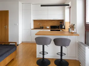 Prodej bytu 4+kk, Brno, Gorkého, 105 m2