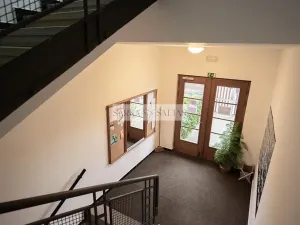 Pronájem bytu 2+kk, Praha - Dejvice, Velvarská, 43 m2
