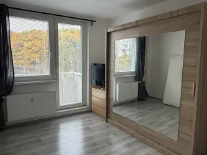 Pronájem bytu 2+1, Brno, Žebětínská, 58 m2