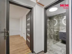 Prodej obchodního prostoru, Plzeň - Východní Předměstí, Ořechová, 26 m2