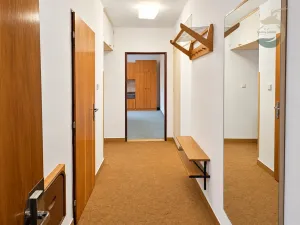 Prodej bytu 1+1, Plzeň, Barákova, 38 m2