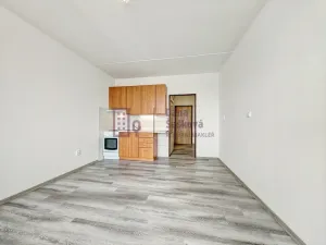 Pronájem bytu 1+kk, Jindřichův Hradec - Jindřichův Hradec III, sídliště Vajgar, 27 m2