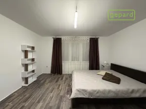 Pronájem bytu 1+1, Brandýs nad Labem-Stará Boleslav - Brandýs nad Labem, Královická, 42 m2