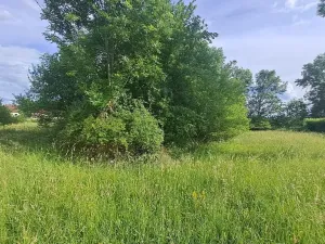 Prodej rodinného domu, Holice, 70 m2