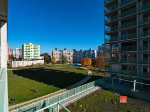 Prodej bytu 1+1, Plzeň - Bolevec, Krašovská, 36 m2