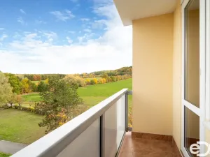 Prodej bytu 2+1, Hradec Králové, Sekaninova, 51 m2