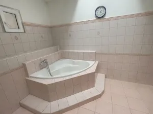 Pronájem rodinného domu, Cheb, Evropská, 450 m2