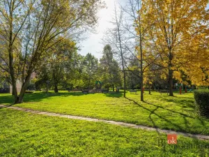 Prodej bytu 3+kk, Pardubice - Bílé Předměstí, Na Drážce, 66 m2