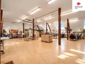 Prodej výrobních prostor, Řepov, 1310 m2