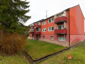 Pronájem bytu 1+1, Horní Benešov, Leskovská, 35 m2